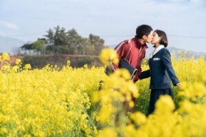 Jeju Island K-Drama Tour: Explore the Scenic Scenes