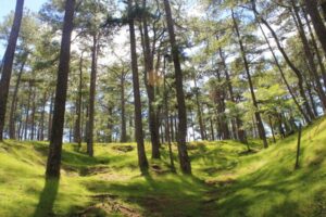 Remote - Baguio